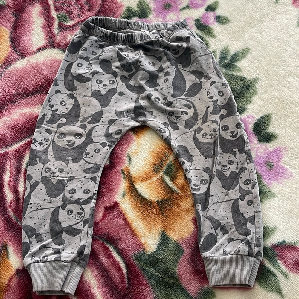 Zara Panda pants size 2-3T
